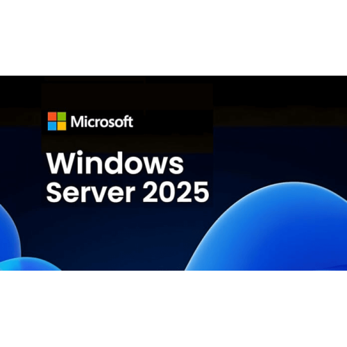 Windows Server CAL 2025 English 1pk DSP OEI 1 Clt Device CAL