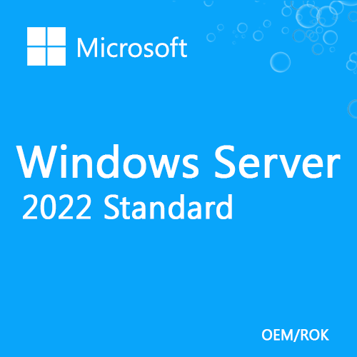 Microsoft Windows Server 2022 Standard