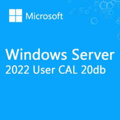 Microsoft Windows Server 20db User CAL