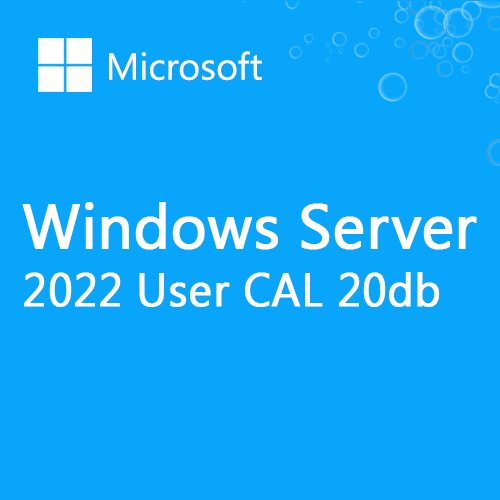 Microsoft Windows Server 20db User CAL