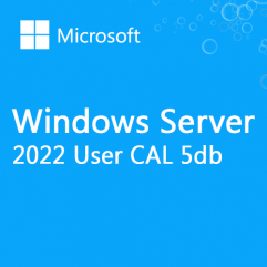 Microsoft Windows Server 5db User CAL