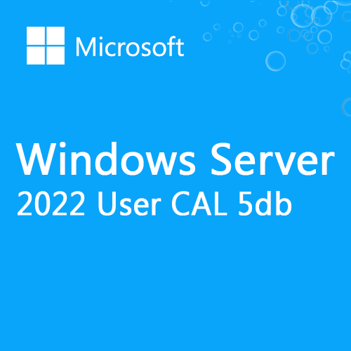 Microsoft Windows Server 5db User CAL