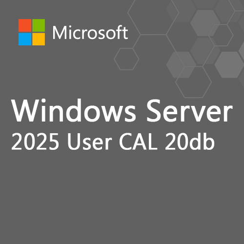 Microsoft Windows Server 20db User CAL