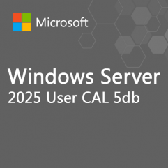 Microsoft Windows Server 5db User CAL
