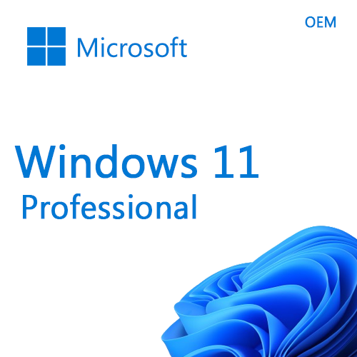 Microsoft Windows 11 Pro